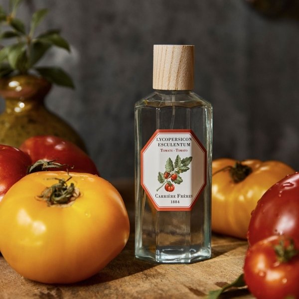 VAPORISATEUR TOMATE - Maison d'exception boutique